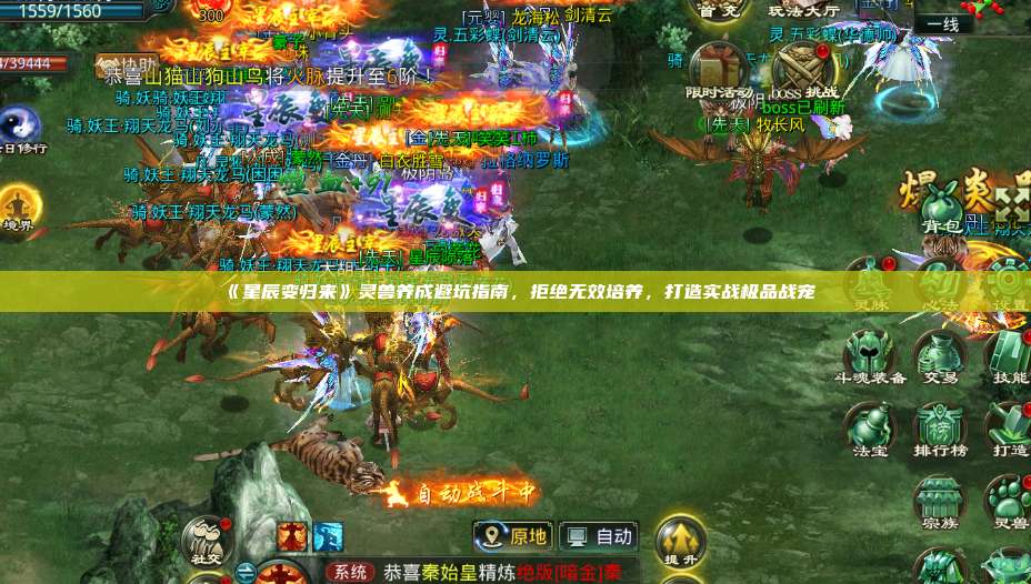 《星辰变归来》灵兽养成避坑指南，拒绝无效培养，打造实战极品战宠 第1张